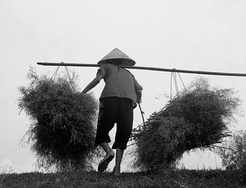 May quá, con… trượt đại học rồi mẹ ơi! - 2