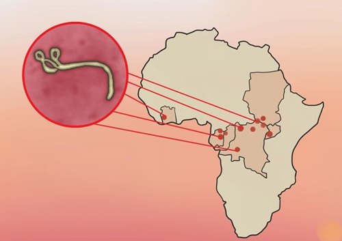 Những điều mẹ cần biết để ngăn ngừa Ebola - 2