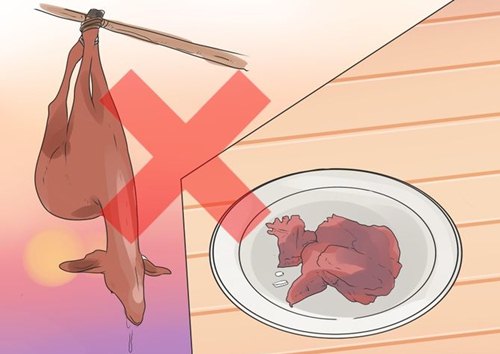 Những điều mẹ cần biết để ngăn ngừa Ebola - 4