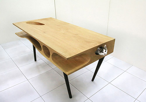 20 thiết kế tuyệt diệu dành cho mèo cưng của bạn - 4