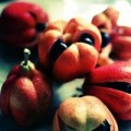 Sức khỏe - Những thực phẩm ngon có thể gây chết người