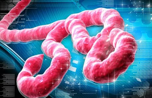 Khủng bố bằng “bom bẩn” Ebola: Ác mộng toàn cầu? (Kỳ 2) - 1