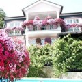 Nhà đẹp - Những loài hoa thích hợp trồng trong giỏ treo