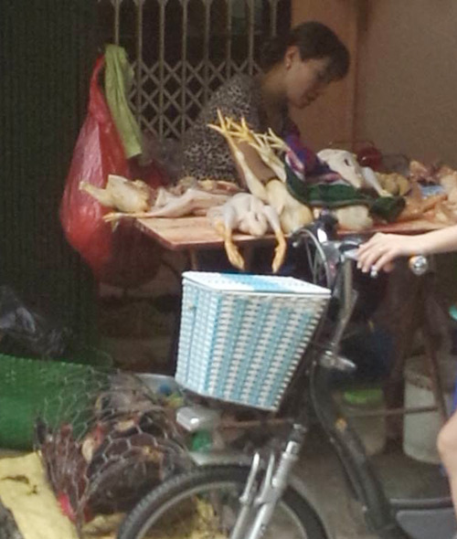Giết mổ gia cầm tràn lan các chợ - 1