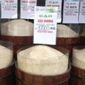 Tin tức - Kinh hãi gạo thơm bảo quản bằng thuốc diệt côn trùng