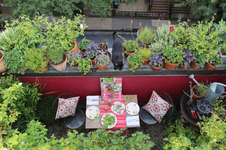 Trồng vườn ban công: 10 bí quyết của Marie Viljoen - 4