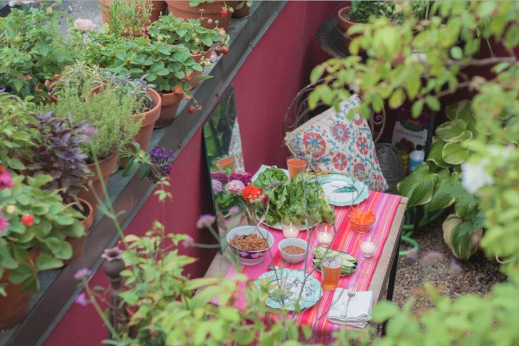 Trồng vườn ban công: 10 bí quyết của Marie Viljoen - 6