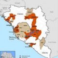 Tin tức - 120 nhân viên y tế tử vong giữa 'tâm chấn' Ebola