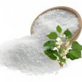 Làm đẹp - Rau diếp cá ‘sát thủ’ của mụn trứng cá