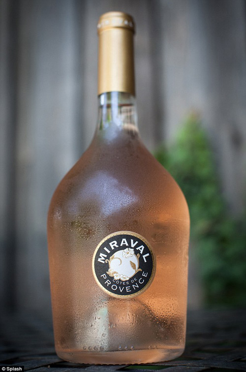 Ngắm thiên đường nơi Brangelina nói: quot;Tôi đồng ýquot; - 11