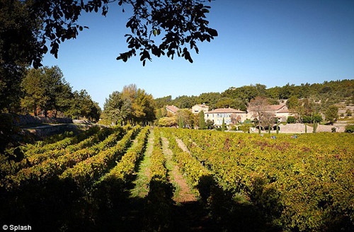 Ngắm thiên đường nơi Brangelina nói: quot;Tôi đồng ýquot; - 12