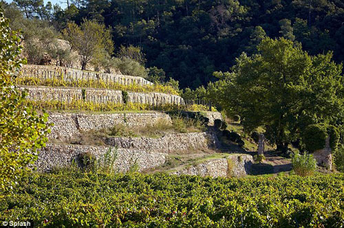 Ngắm thiên đường nơi Brangelina nói: quot;Tôi đồng ýquot; - 13