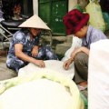 Mua sắm - Giá cả - Cơ quan chức năng sẽ truy lùng gạo độc