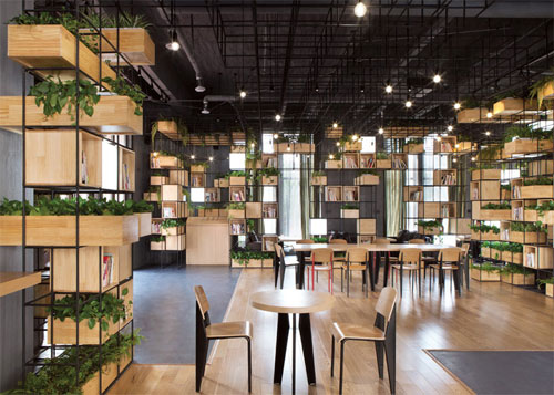 Khám phá quán cà phê sách quot;xanhquot; như ốc đảo - 14