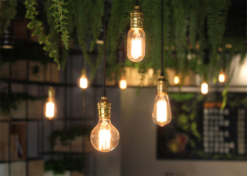 Khám phá quán cà phê sách quot;xanhquot; như ốc đảo - 18