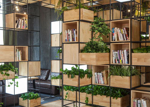 Khám phá quán cà phê sách quot;xanhquot; như ốc đảo - 6