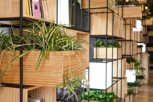 Khám phá quán cà phê sách quot;xanhquot; như ốc đảo - 11