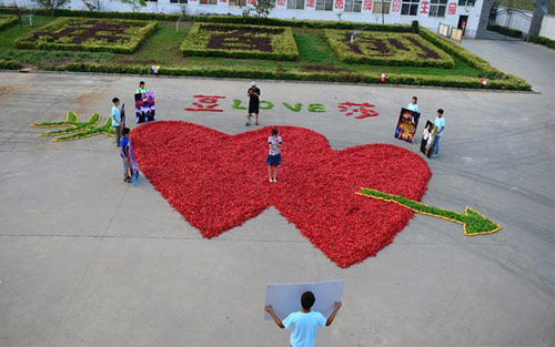 TQ: Chàng trai mang... ớt đi cầu hôn - 3