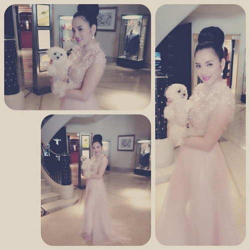 Những biệt thự triệu đô xa hoa của sao Việt - 15