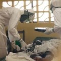 Tin tức - Ebola đã cướp đi sinh mạng của hơn 2.000 người