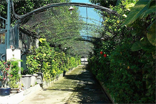 Biệt thự triệu đô của các mỹ nhân Việt đình đám một thời - 3