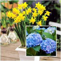 Mê mẩn ban công rực rỡ hoa ở Phùng Khoang - 15