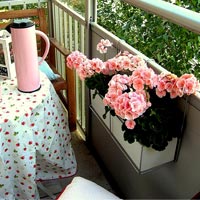 Mê mẩn ban công rực rỡ hoa ở Phùng Khoang - 16