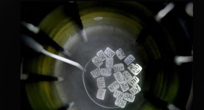 Khi quá trình thực hiện thụ tinh trong ống nghiệm đúng tiêu chuẩn, trứng và tinh trùng sẽ được trộn lẫn với nhau trên một chiếc đĩa nhựa.
