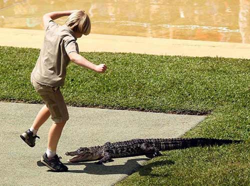 Cậu bé liều mình “giỡn” mặt cá sấu để…mừng sinh nhật - 6