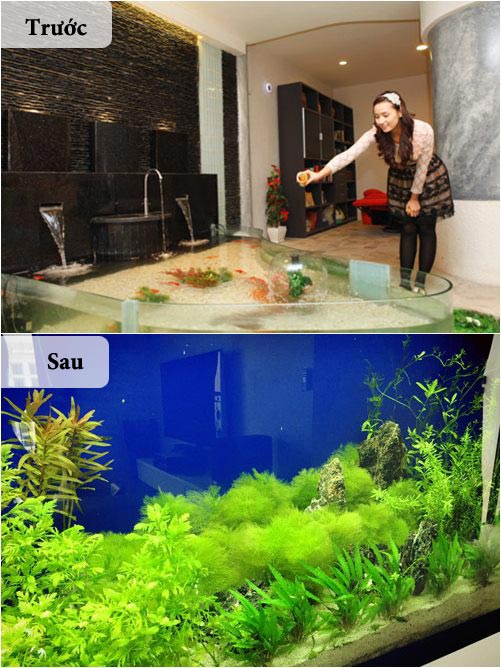 Sao Việt lộ nhà mới sang hơn nhà cũ gấp nhiều lần - 1