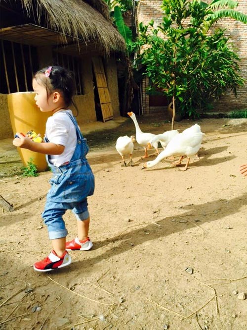 Dương Mỹ Linh dành quot;lời có cánhquot; cho Bằng Kiều - 8