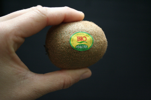 Trồng kiwi trong chậu: mát nhà mà sướng miệng - 1
