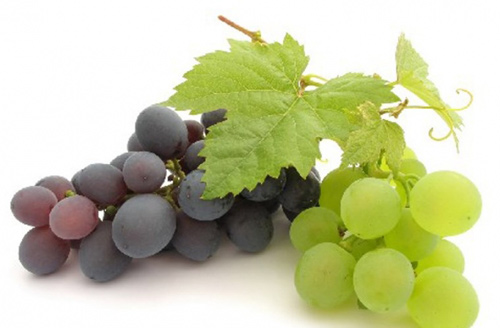 Lợi ích sức khỏe của việc ăn nho - 1