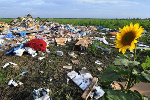 Nước mắt rơi trong ngày tưởng niệm nạn nhân MH17 - 5