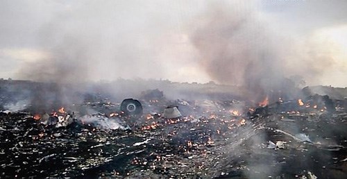 MH17 trúng tên lửa do Israel sản xuất? - 2