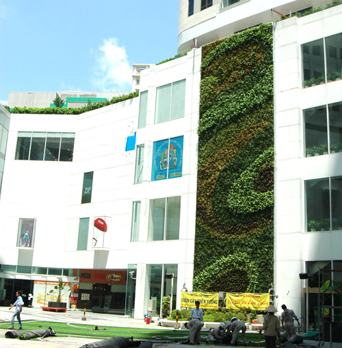 Khắp thế giới phát sốt với trào lưu #039;đào tường trồng cây#039; - 1