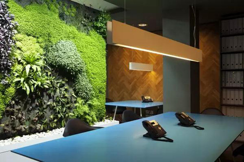 Khắp thế giới phát sốt với trào lưu #039;đào tường trồng cây#039; - 8