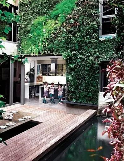 Khắp thế giới phát sốt với trào lưu #039;đào tường trồng cây#039; - 9