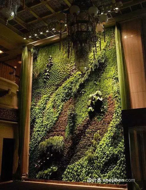 Khắp thế giới phát sốt với trào lưu #039;đào tường trồng cây#039; - 10