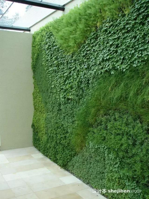 Khắp thế giới phát sốt với trào lưu #039;đào tường trồng cây#039; - 3