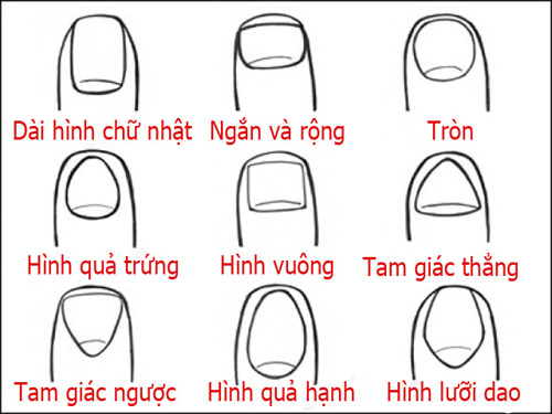 Xem Ngón Tay Đoán Tính Cách: Khám Phá Những Đặc Điểm Thú Vị Về Tính Cách Của Bạn