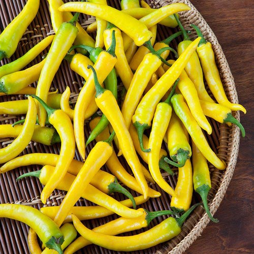 Học trồng ba loại ớt lạ đang #039;oanh tạc#039; vườn nhà Việt - 3