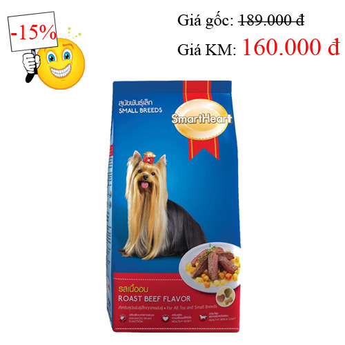 Mách bạn bí quyết nuôi chó mèo sạch sẽ mà nhàn tênh - 5