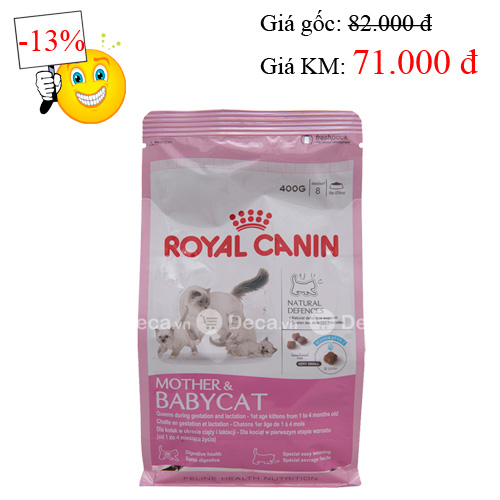 Mách bạn bí quyết nuôi chó mèo sạch sẽ mà nhàn tênh - 9