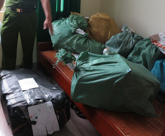 Bắt khẩn cấp nữ đại gia lâm sản ở Nghệ An - 2