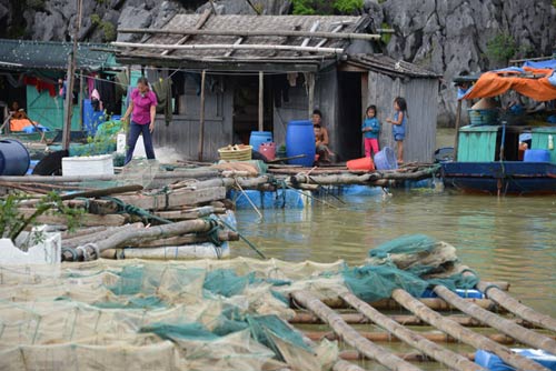 Quảng Ninh: Nước mắt ngư phủ hòa vào biển cả - 10