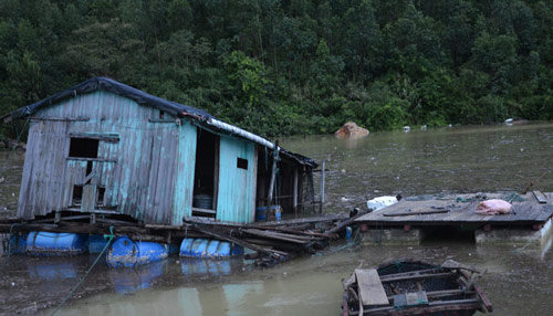 Quảng Ninh: Nước mắt ngư phủ hòa vào biển cả - 11