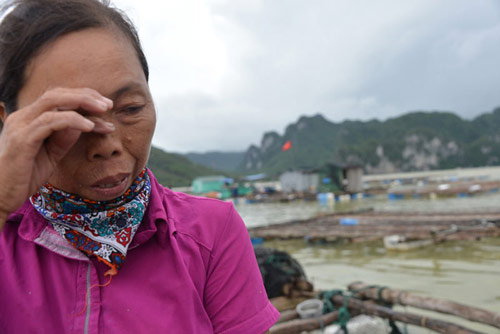 Quảng Ninh: Nước mắt ngư phủ hòa vào biển cả - 12
