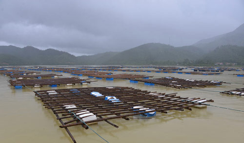 Quảng Ninh: Nước mắt ngư phủ hòa vào biển cả - 3