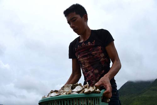 Quảng Ninh: Nước mắt ngư phủ hòa vào biển cả - 7